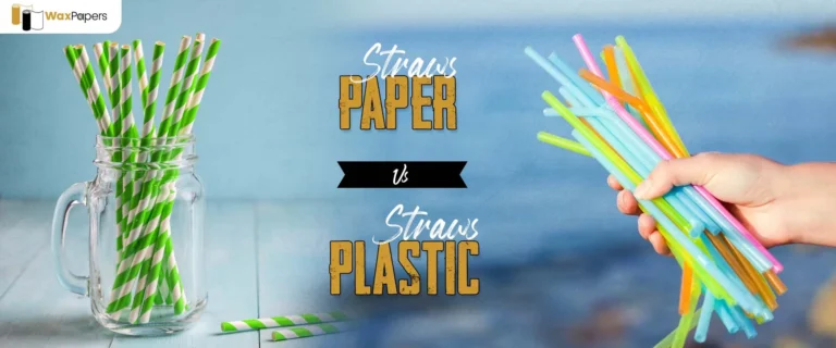 Paper Straws vs. Plastic Straws: Which One Is Best?
