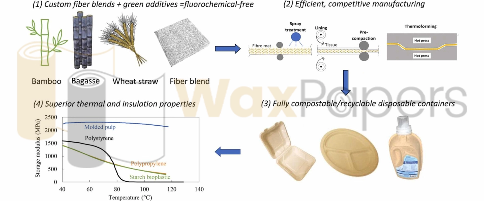 Fiber Sorption and food paper