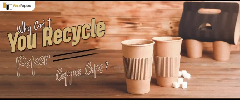 Why Can’t You Recycle Paper Coffee Cups?