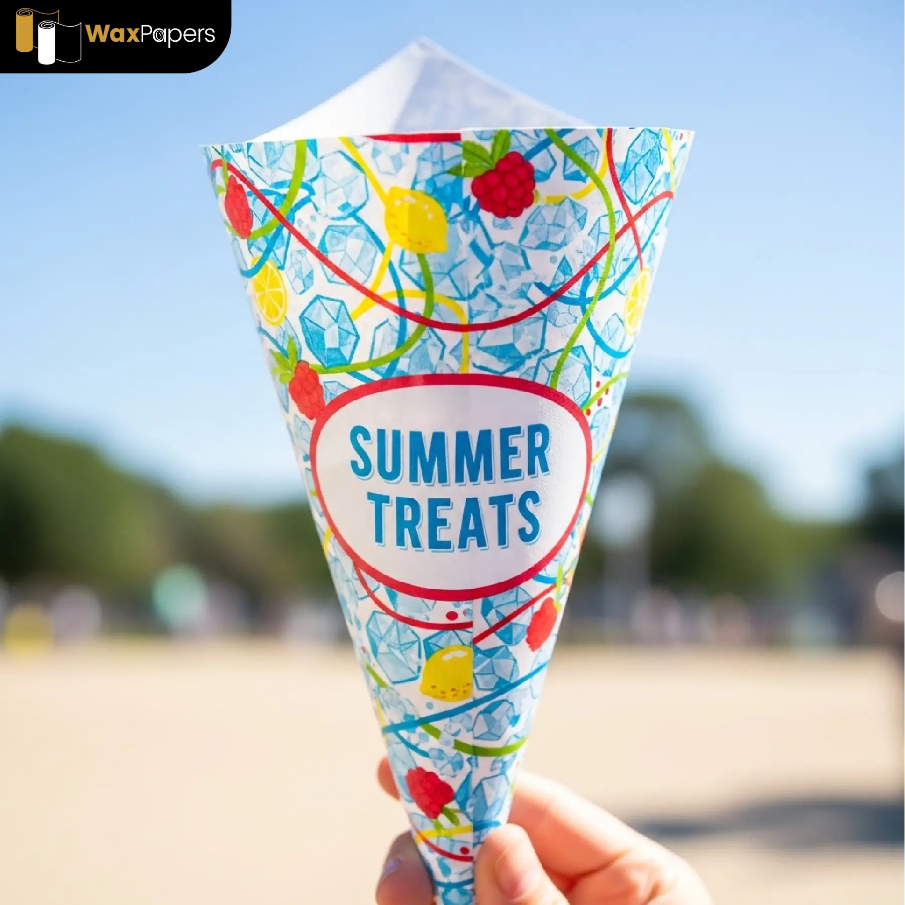 Custom Paper Cones