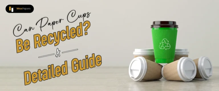 Can Paper Cups Be Recycled? A Detailed Guide